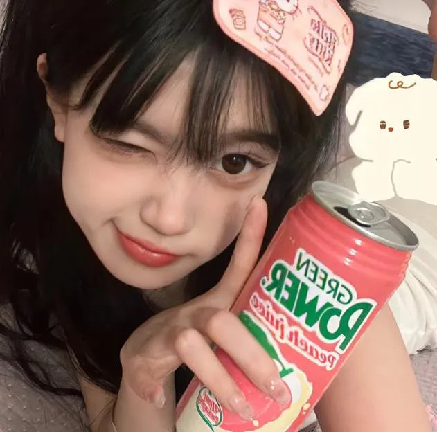 紫禁秘录